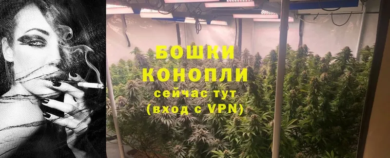 MEGA ONION  Болотное  Конопля THC 21% 